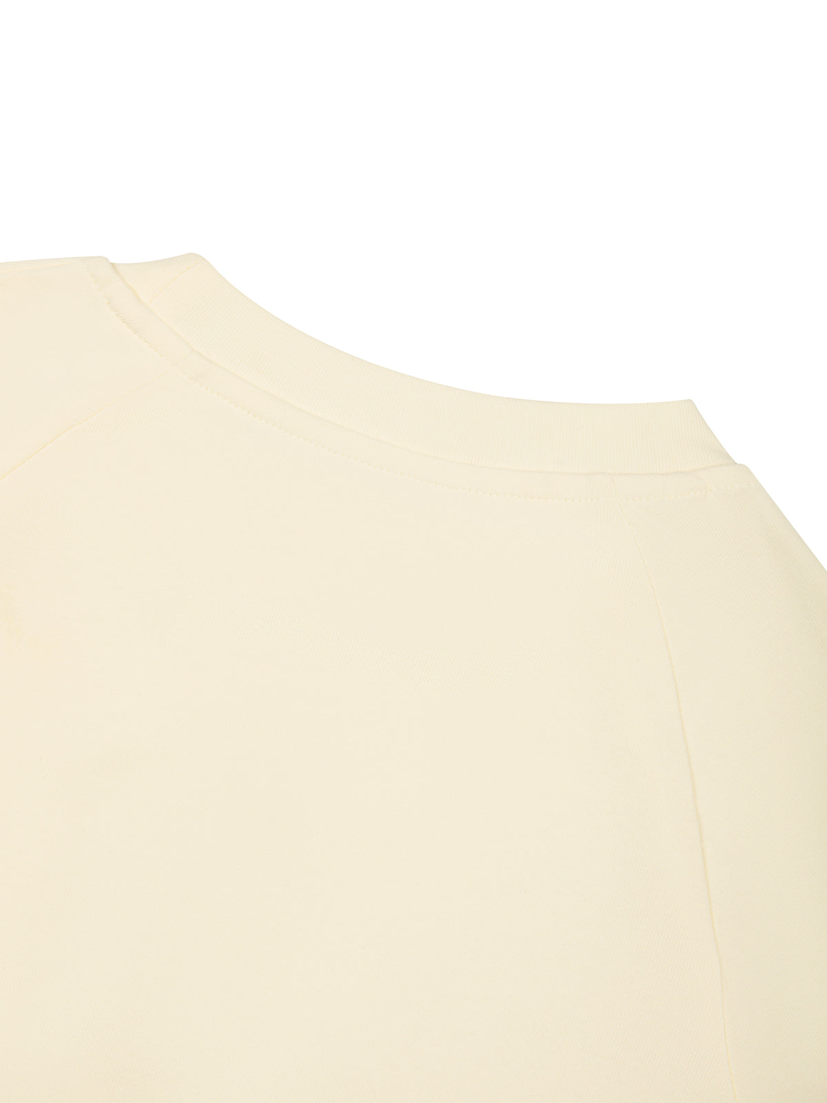Slim Raglan Long Sleeve T-Shirt